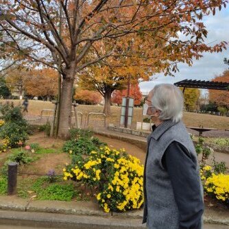 ブログ記事のイメージ画像