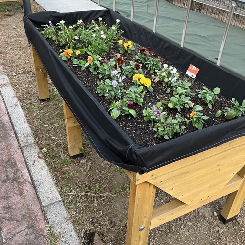 ブログ記事のイメージ画像